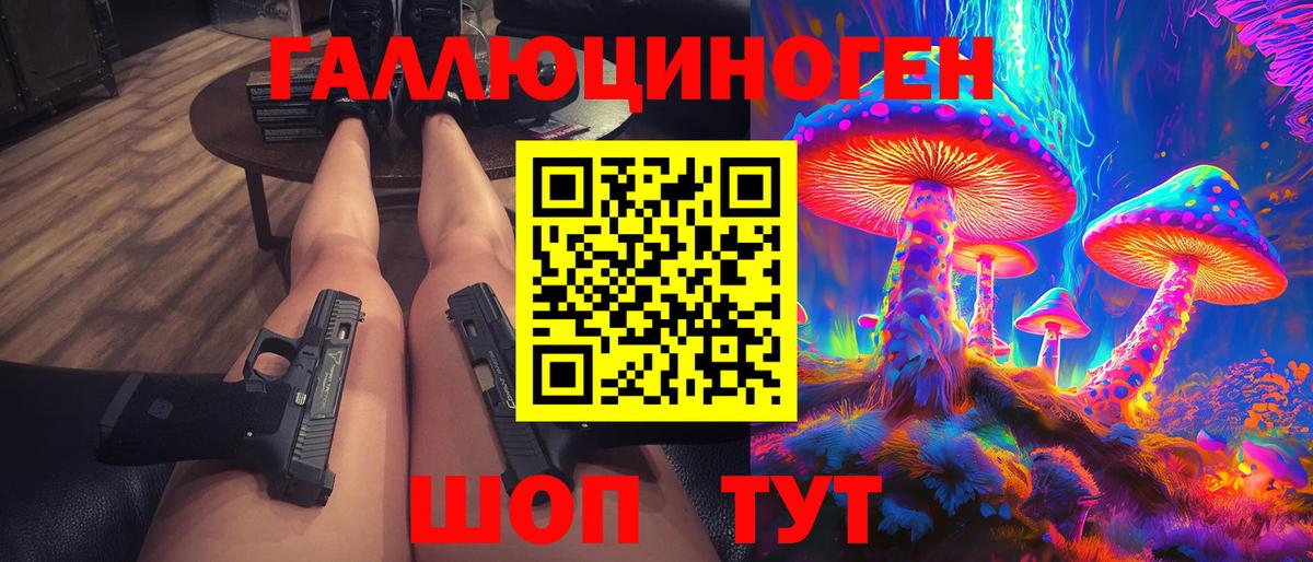 Псилоцибиновые грибы Cubensis Ачхой-Мартан
