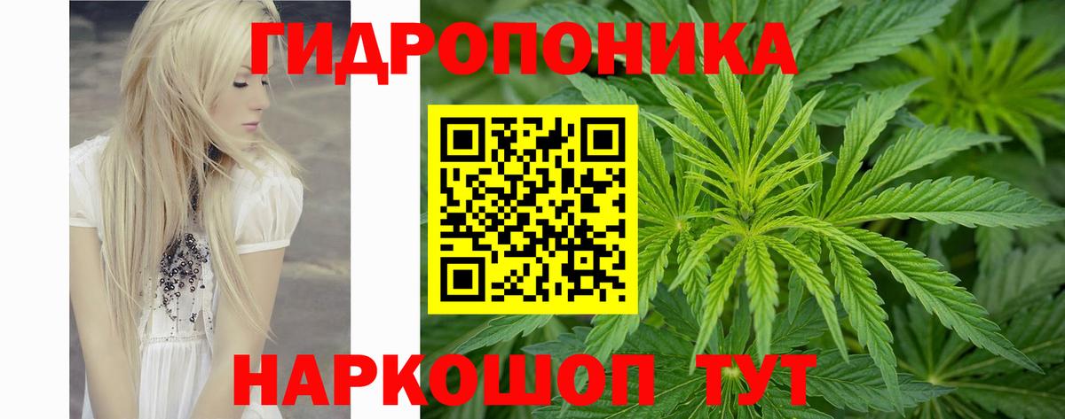 Шишки марихуана тримм  Канабис марихуана  Вход с VPN  Ачхой-Мартан 